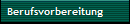 Berufsvorbereitung
